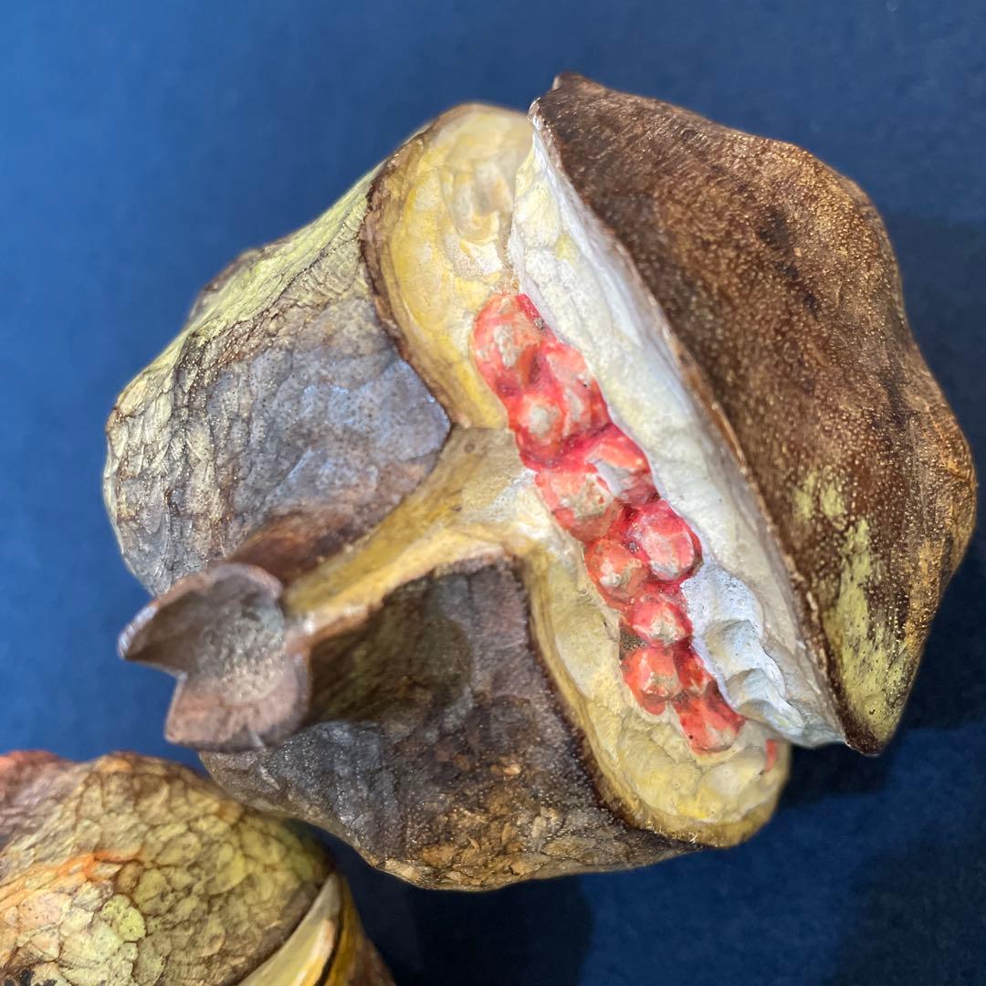 昭和14年吉日【岩田 祥光】(作)「筥崎宮 神木 木彫彩色 吉祥果」(柘榴)共箱