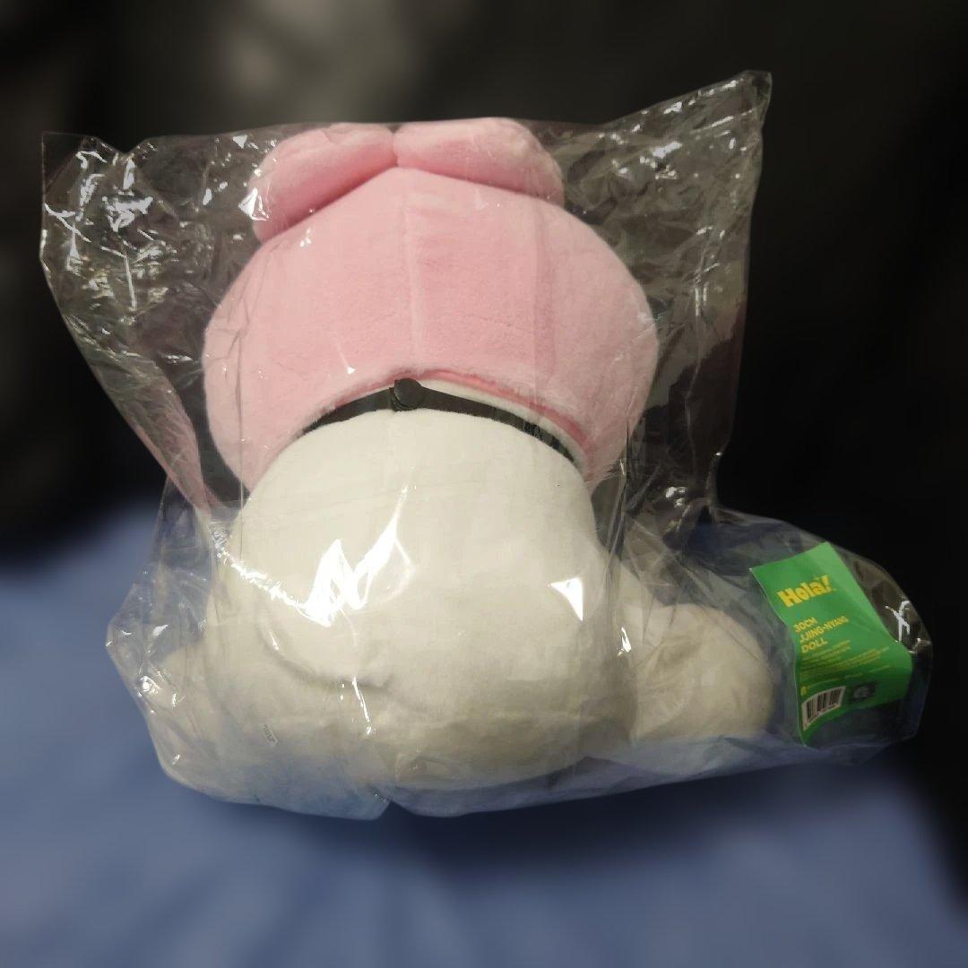 【新品】オニュ 公式グッズ ぬいぐるみ　30cm ジンニャン
