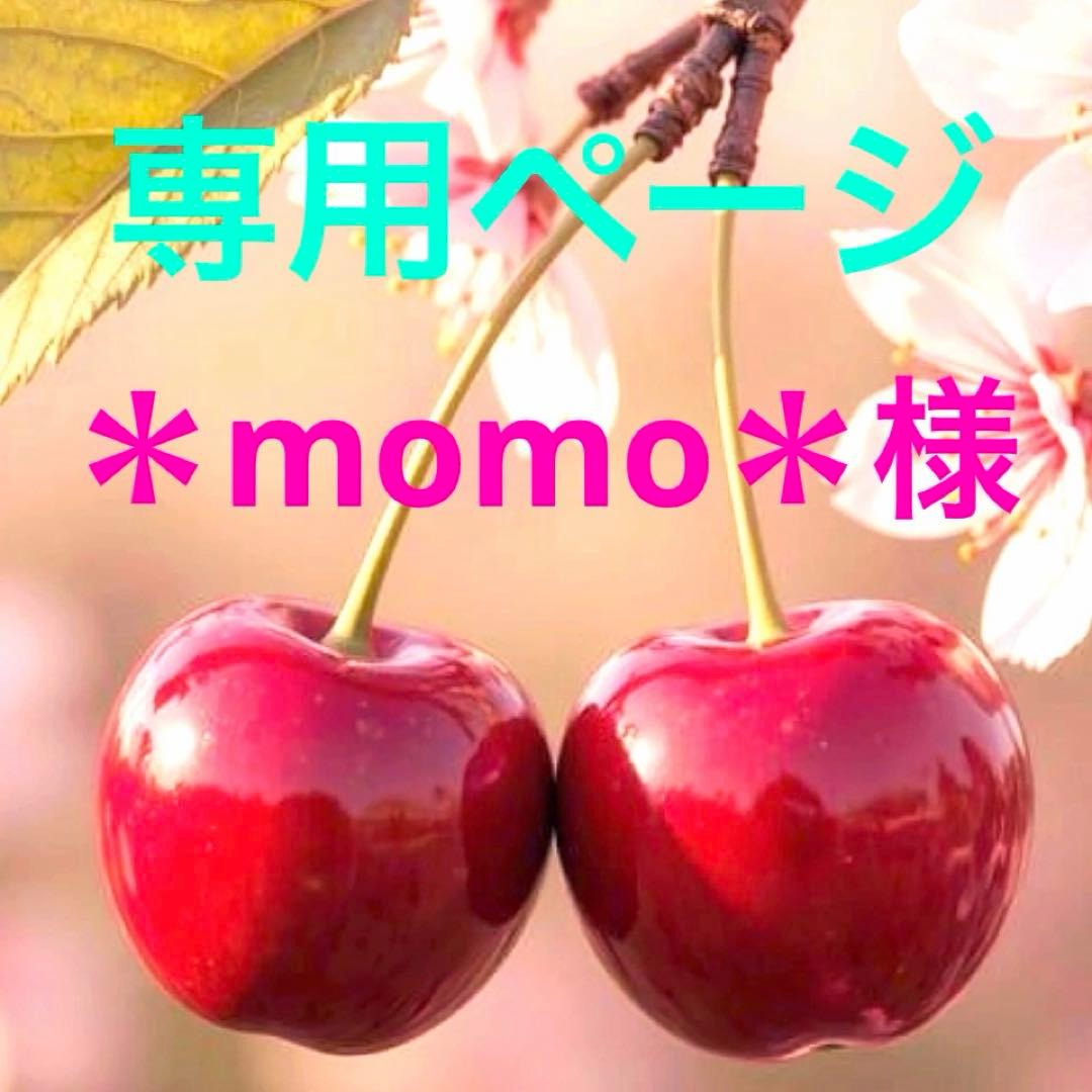 専用ページ　＊momo＊様　無害シリコンモールド