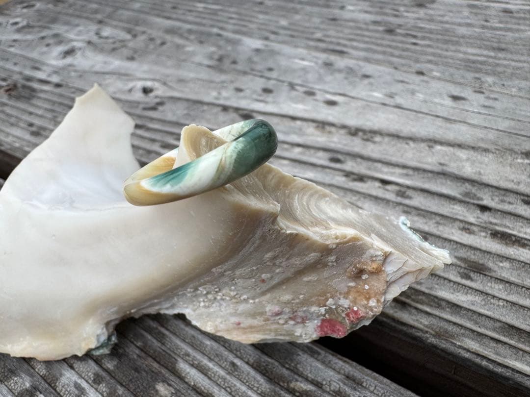 夜光貝 くりぬきリング15.5~15.8号