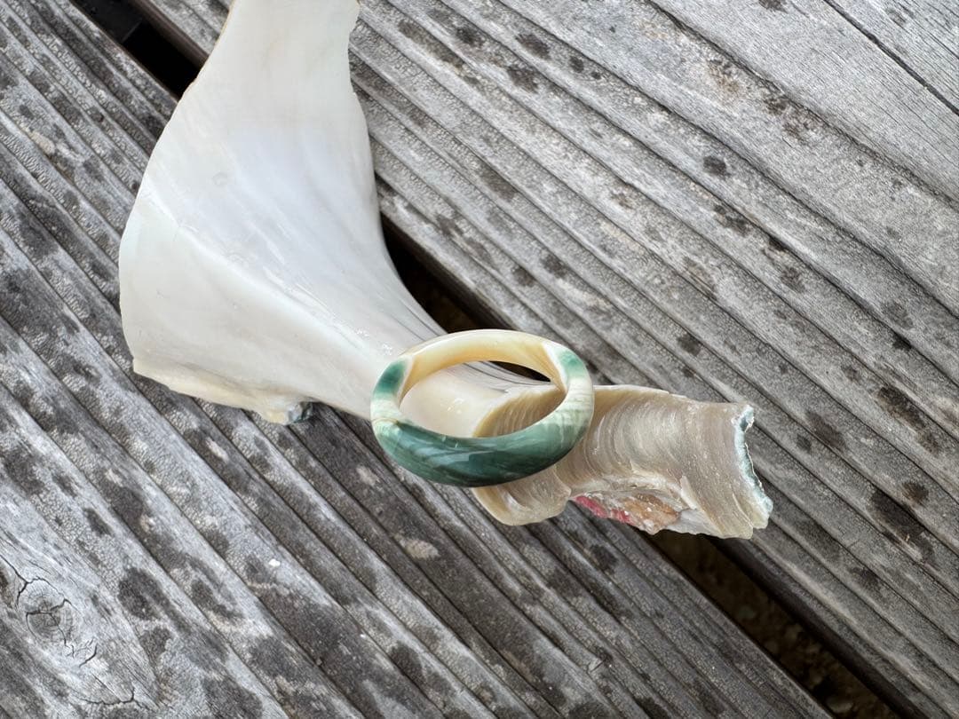 夜光貝 くりぬきリング15.5~15.8号