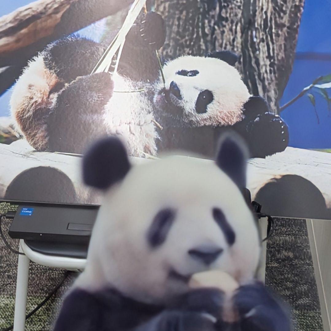 シャンシャンBirthday♡グッズ・コスチュームお買い上げの方へのプレゼント☆