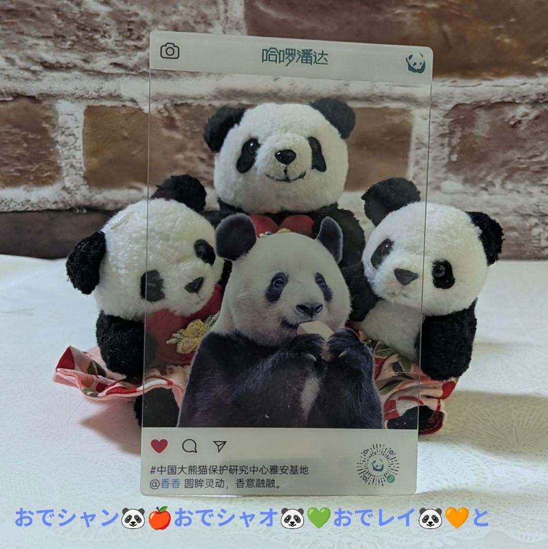 シャンシャンBirthday♡グッズ・コスチュームお買い上げの方へのプレゼント☆