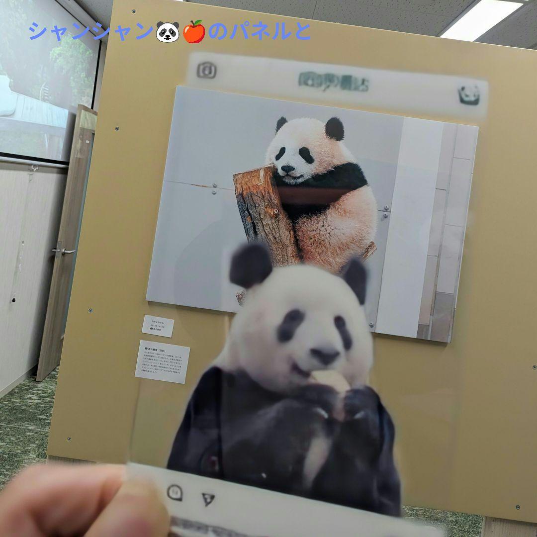 シャンシャンBirthday♡グッズ・コスチュームお買い上げの方へのプレゼント☆