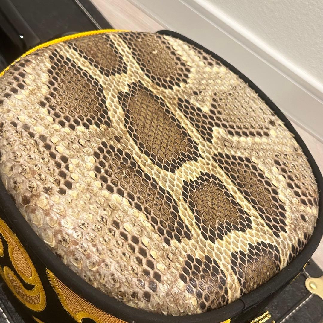 【美品】沖縄 三線 本蛇革 強化張り ハードケース 爪