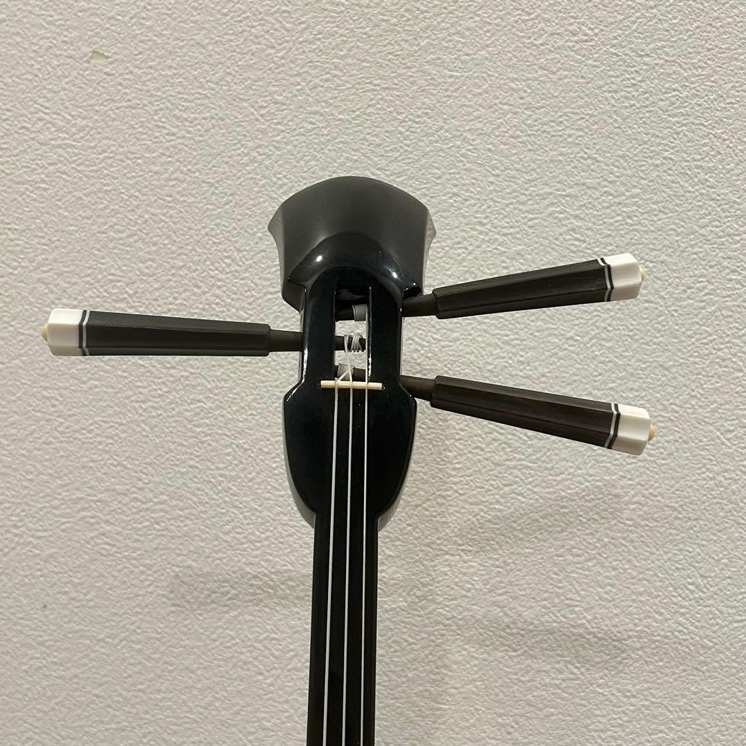 【美品】沖縄 三線 本蛇革 強化張り ハードケース 爪