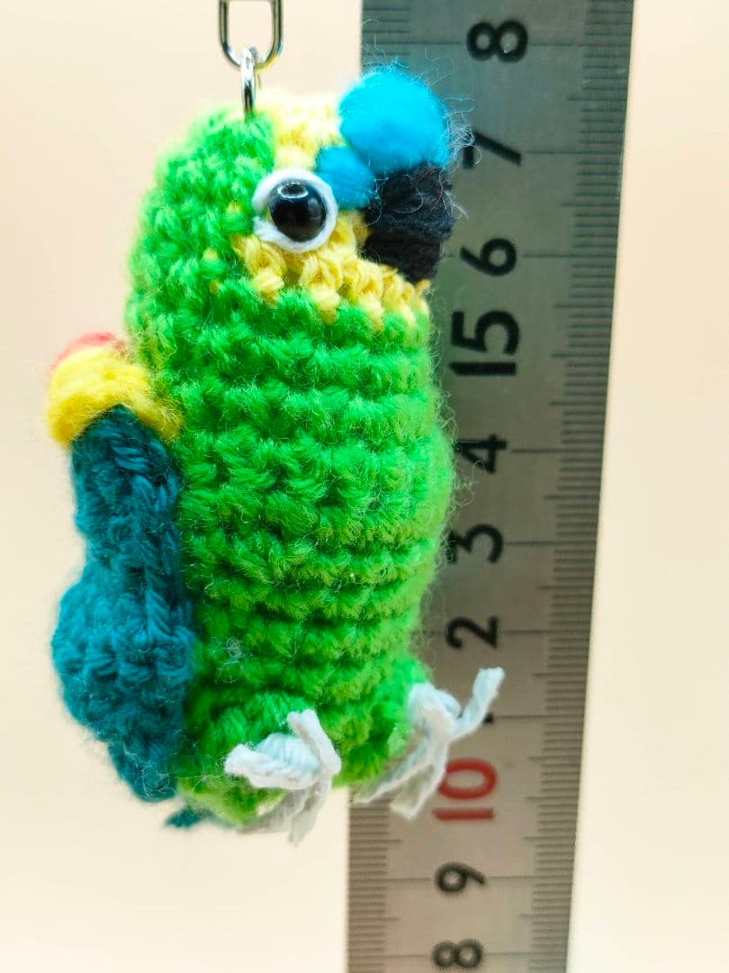 ぴぴたんママ　オニオオハシ、アオボウシ、オオバタン、コンゴウインコ