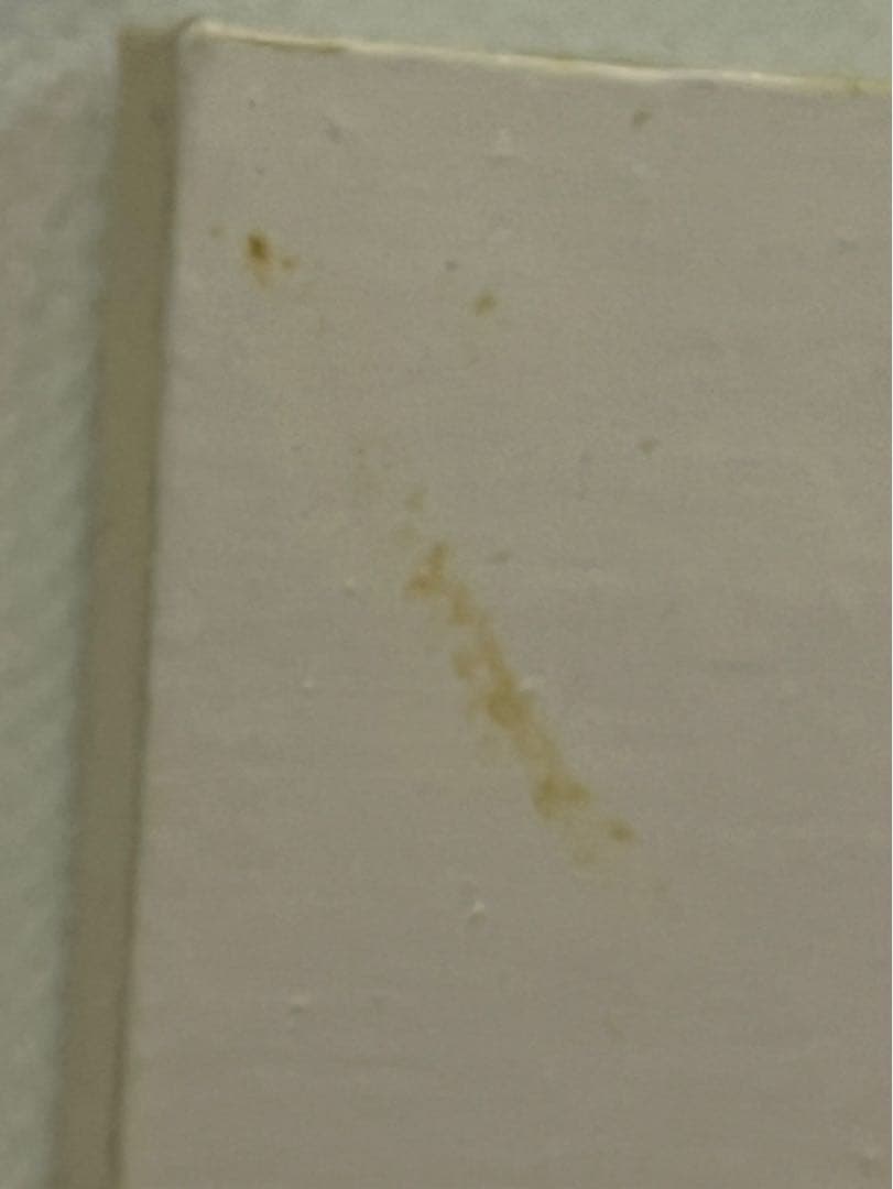 篠原愛 「Summer garden」2013年制作