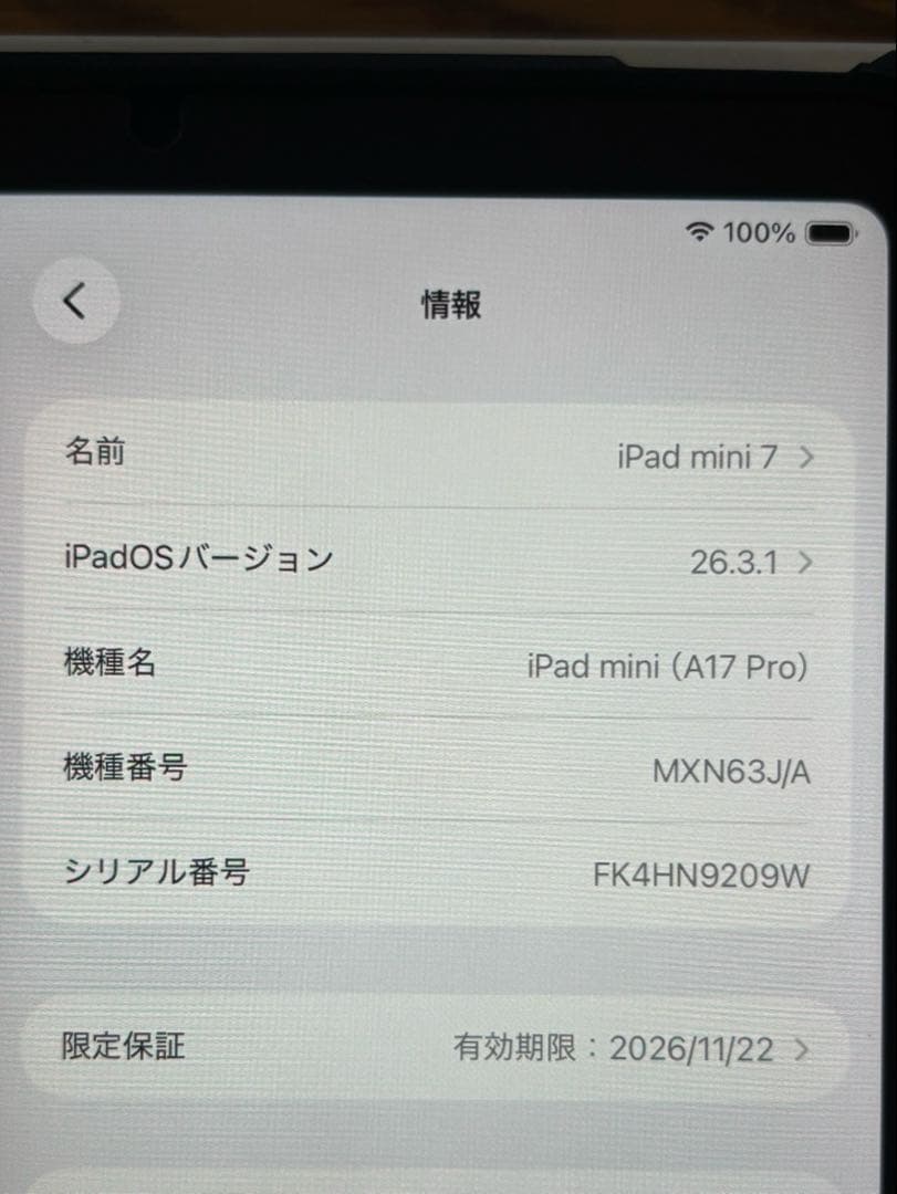 Apple iPad mini7 A17 pro 128GB スペースグレイ