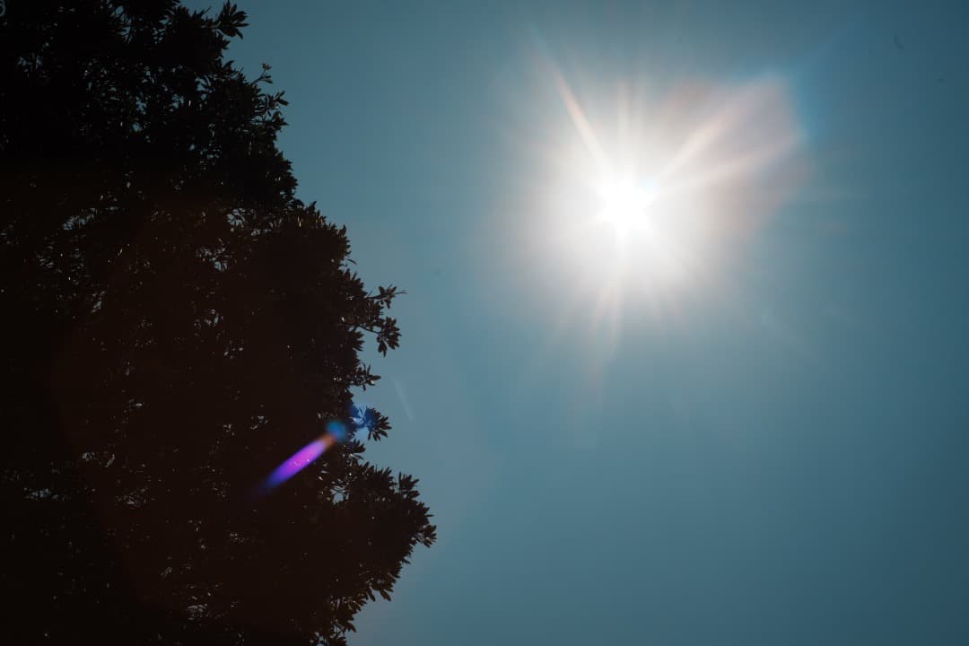 【この値段でライカ級】富岡光学製 XR RIKENON 50mm F2 573