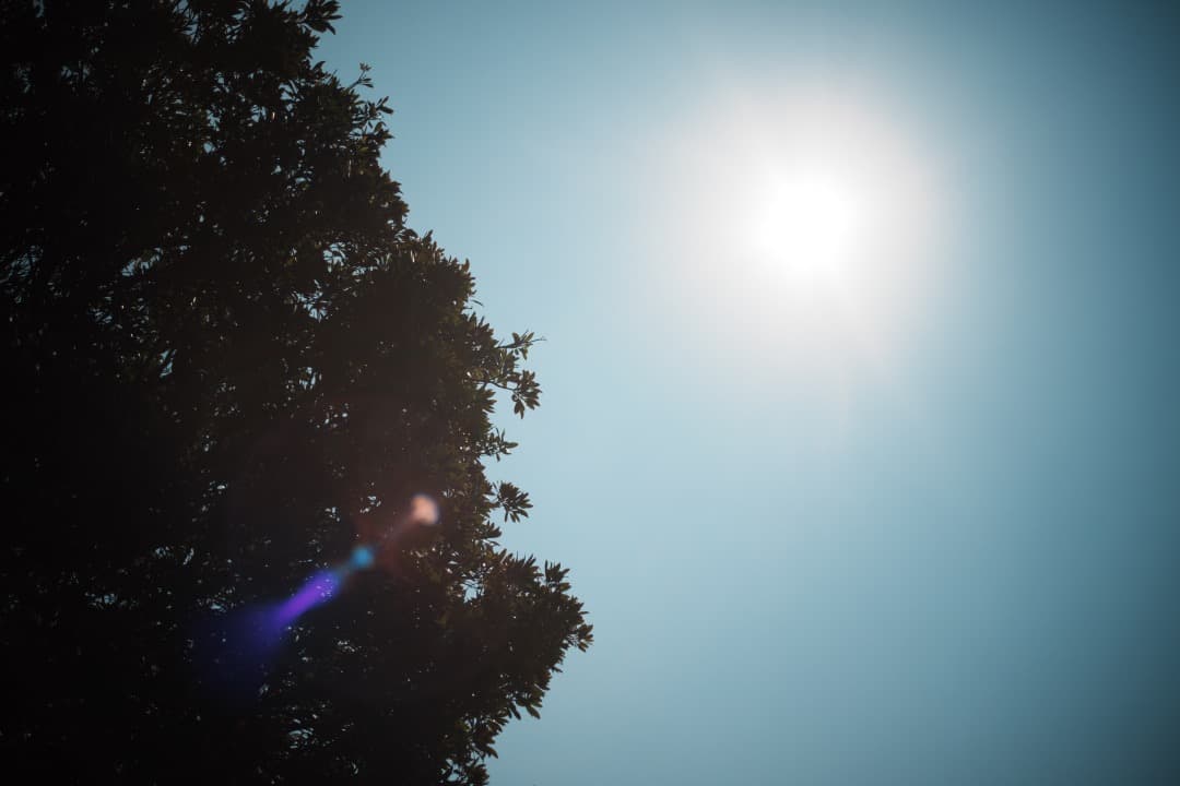 【この値段でライカ級】富岡光学製 XR RIKENON 50mm F2 573