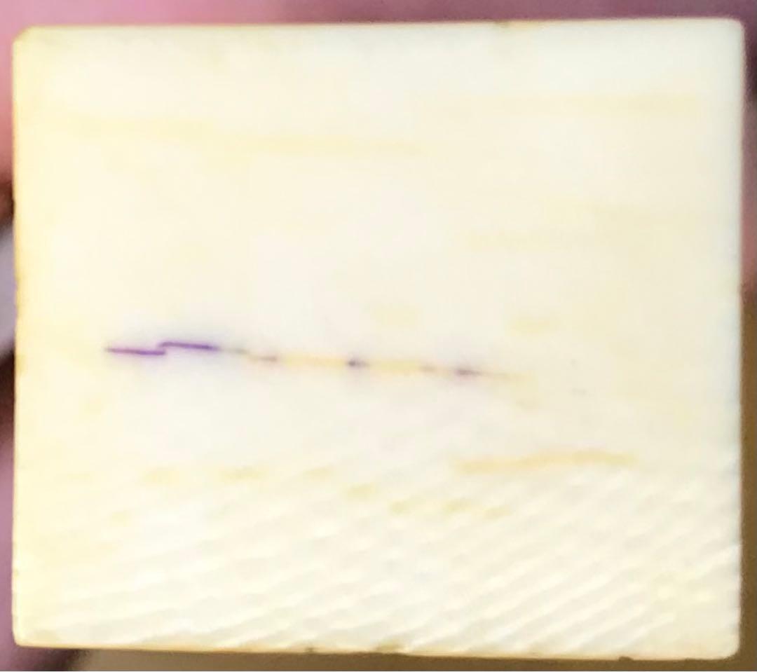 三味線撥105天然素材マンモス/三味線/弦楽器/バチ