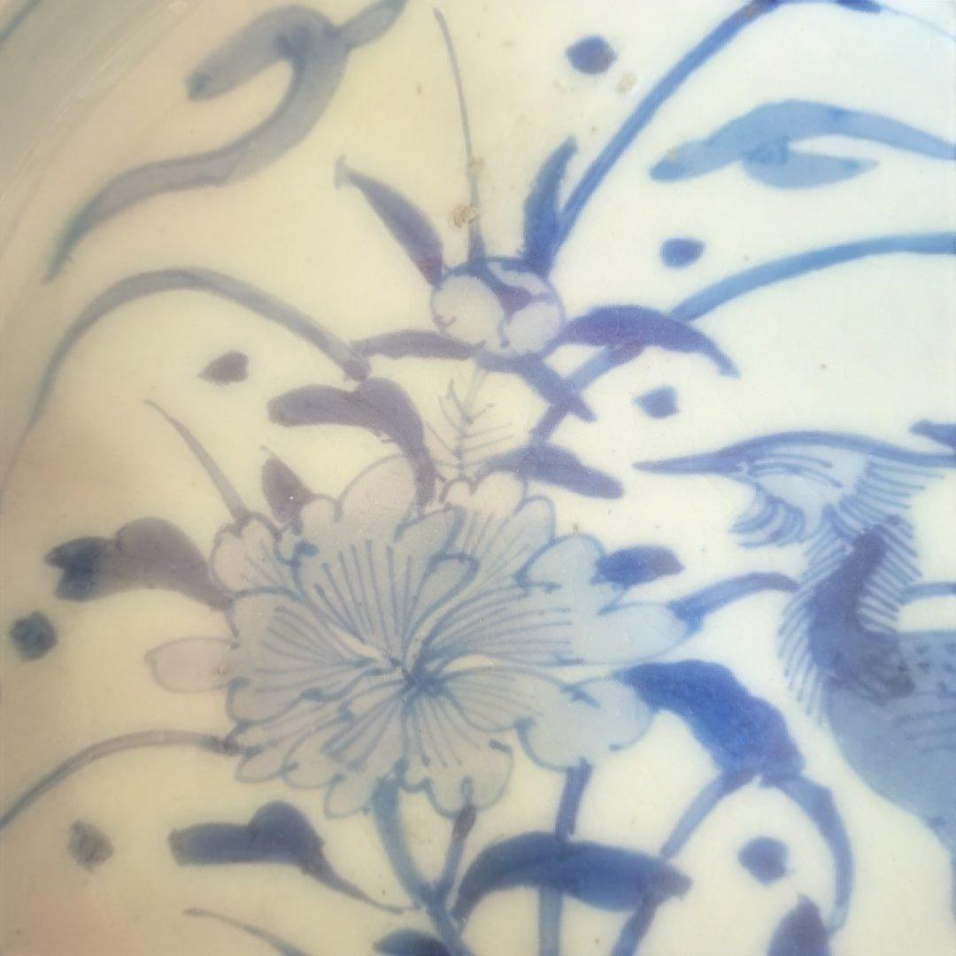 「まるで若冲(じゃくちゅう)？！のタッチ」 古伊万里染付皿(最大幅23cm) 骨