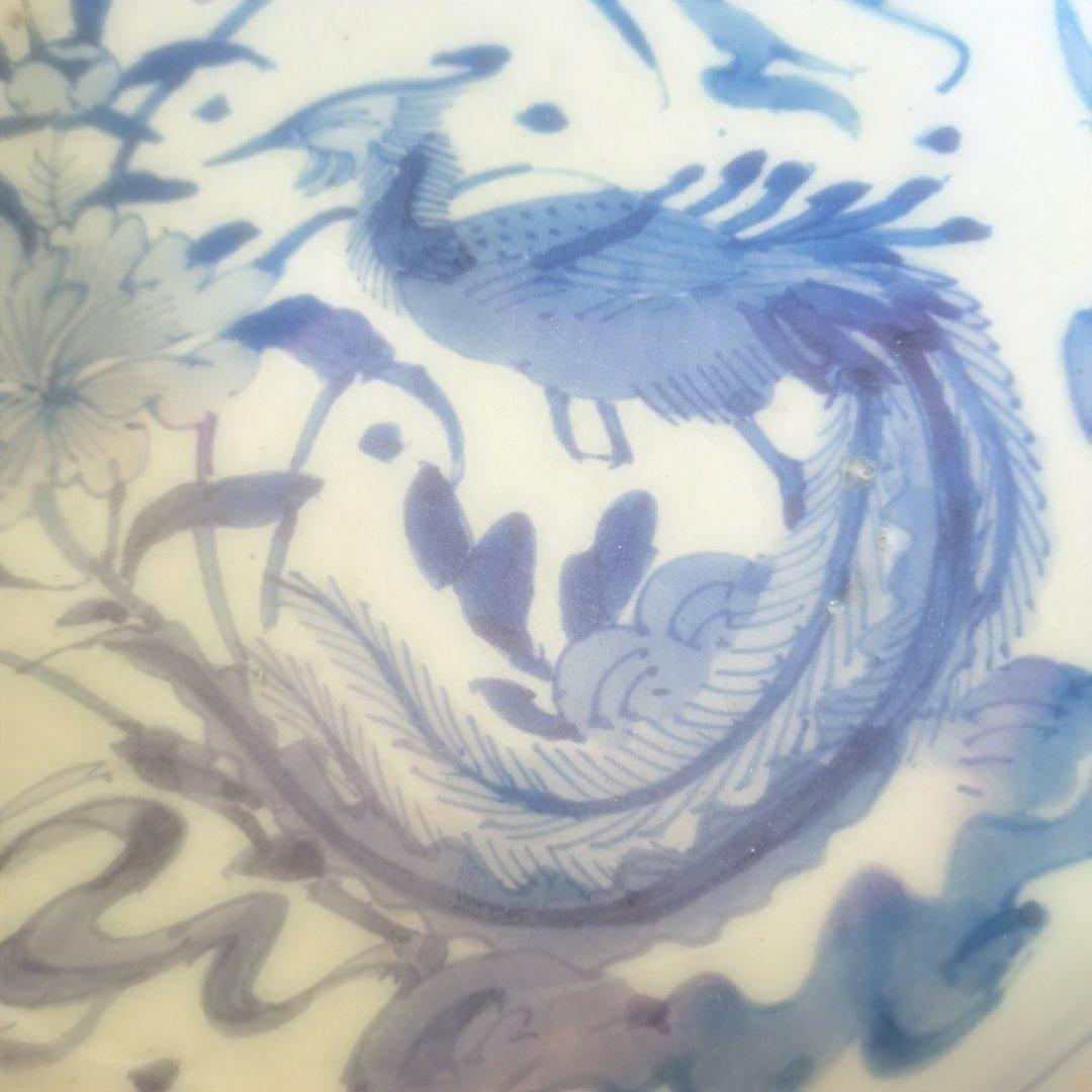 「まるで若冲(じゃくちゅう)？！のタッチ」 古伊万里染付皿(最大幅23cm) 骨