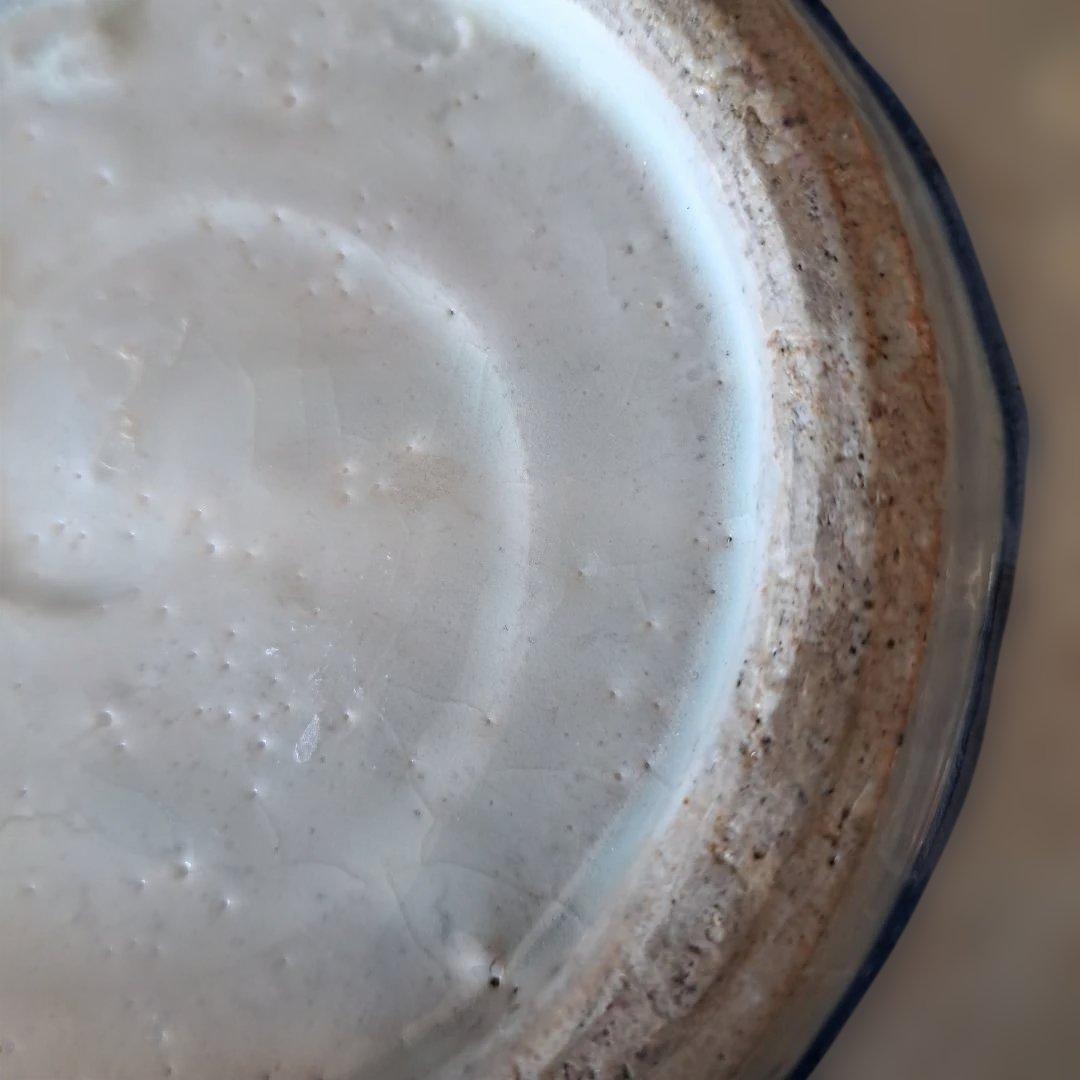 「まるで若冲(じゃくちゅう)？！のタッチ」 古伊万里染付皿(最大幅23cm) 骨