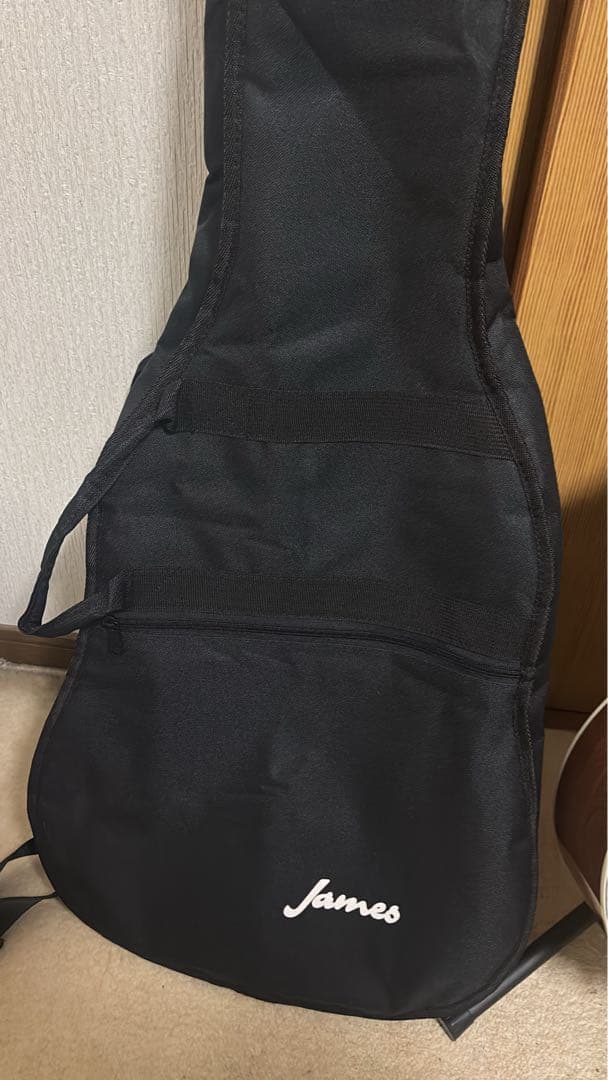 アコースティックギター James J-300A ケース、スタンド、本付き