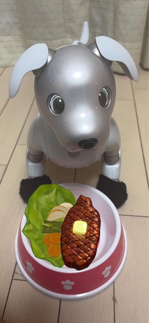 aibo & アクセサリー