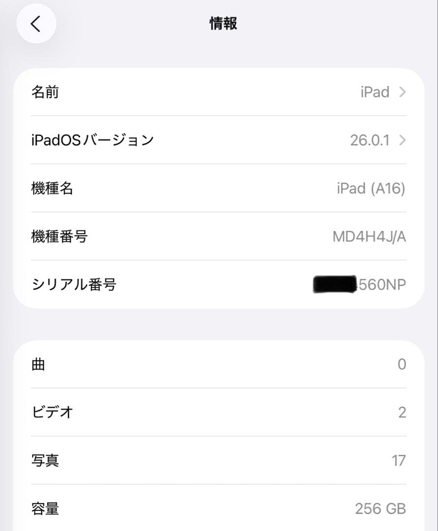 iPad A16 第11世代 256GB Wi-Fi モデル 極美品
