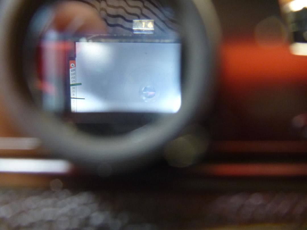 Nikon 一眼レフカメラ NIKKORレンズ付き
