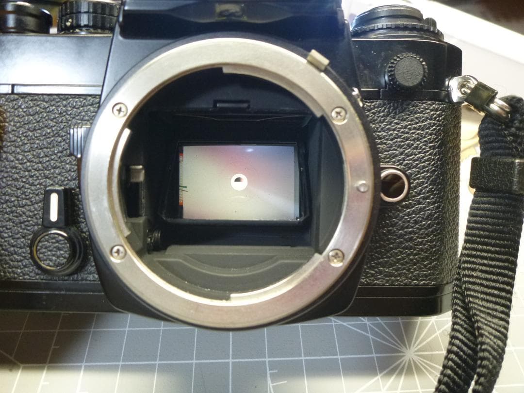 Nikon 一眼レフカメラ NIKKORレンズ付き