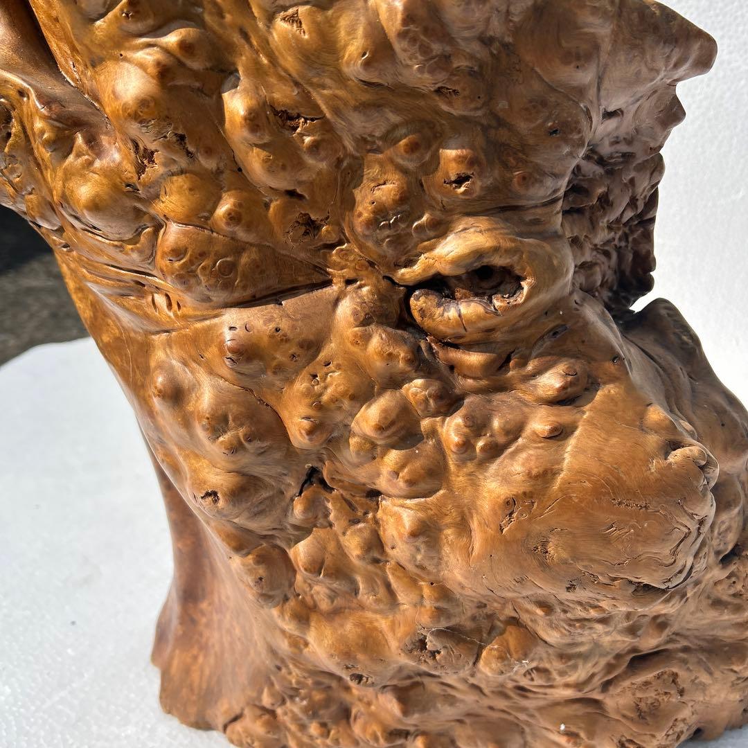 木製達磨太子像 彫刻 60センチ　木の節彫刻