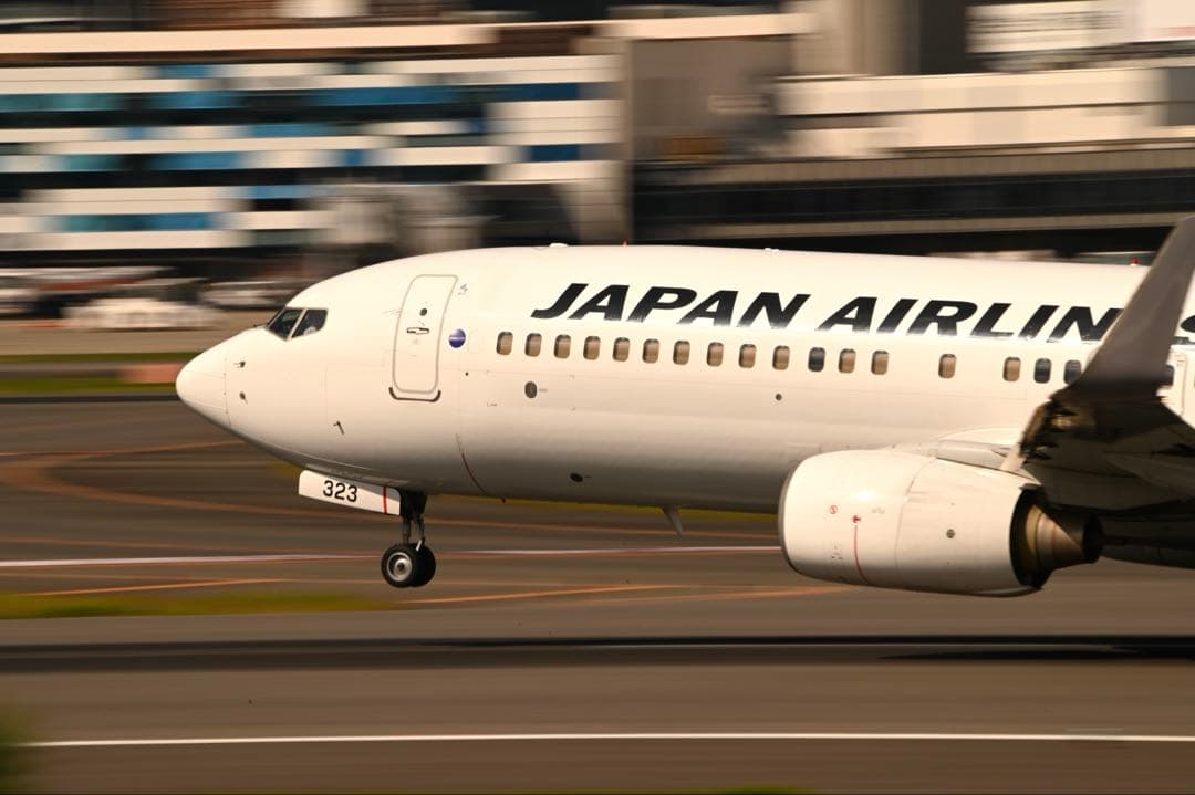 SIGMA 150-600mm F5-6.3 DG OS HSM ニコンF