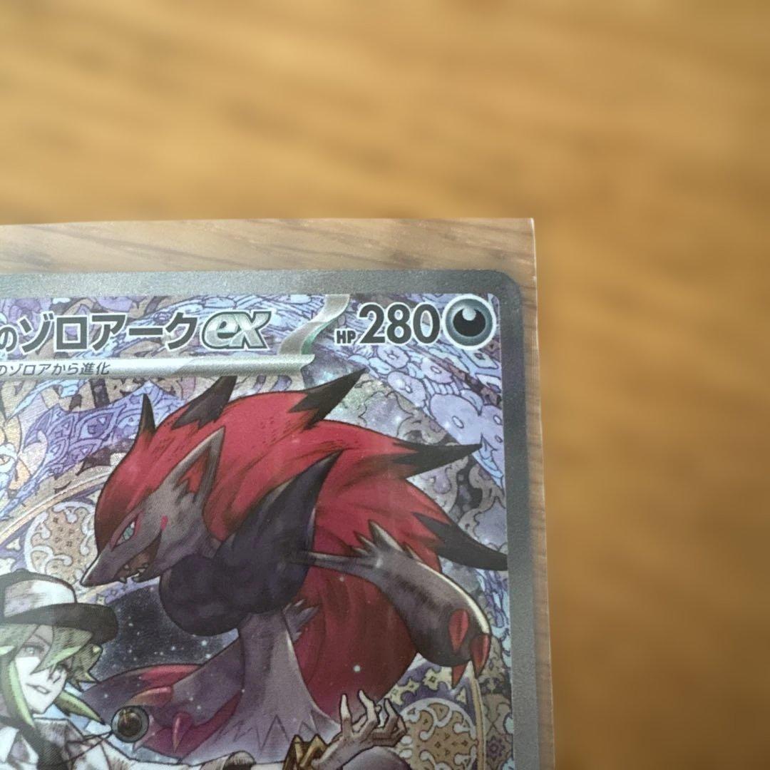 Nのゾロアーク　sar