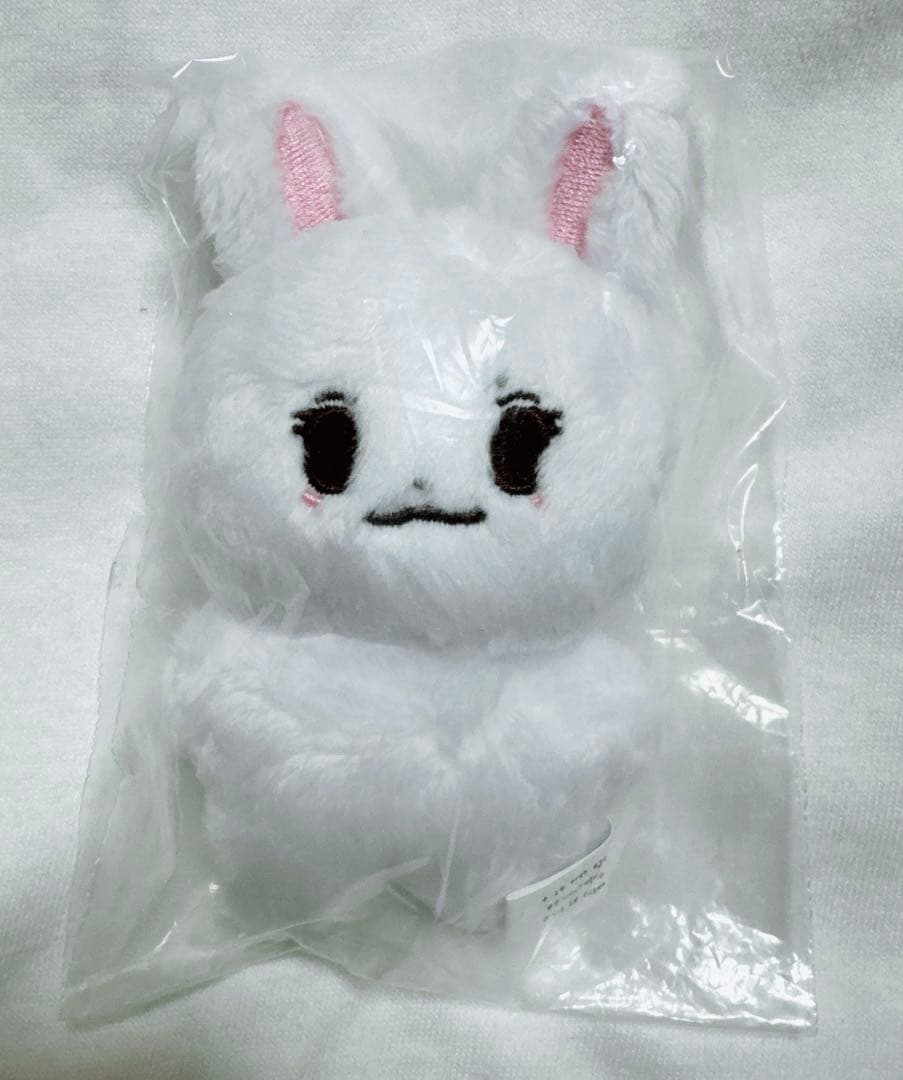 ASTRO チャ・ウヌ ぬいぐるみ 2点セット マスター 新品