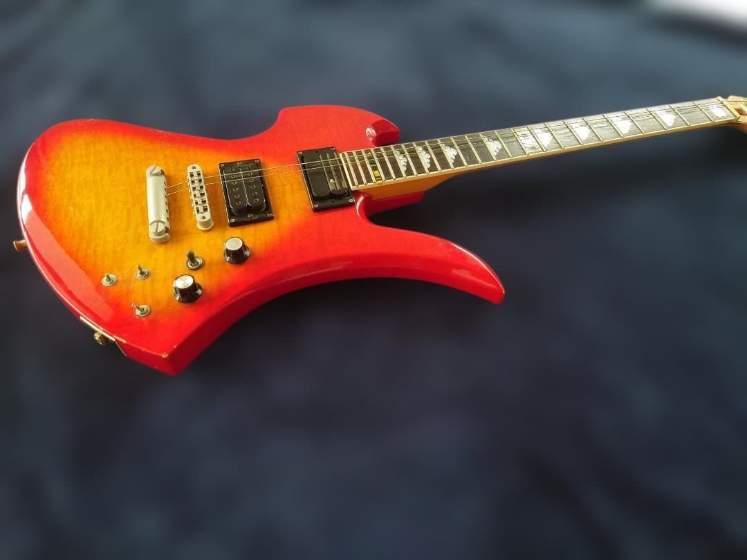 【FERNANDES】Burny MG-130S MG-145S hide