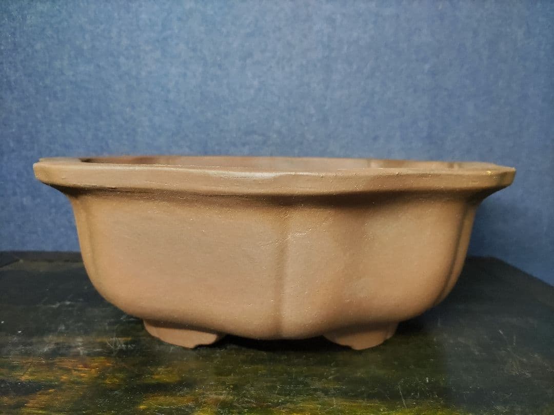 盆栽鉢　　錢号　　早い者勝ち