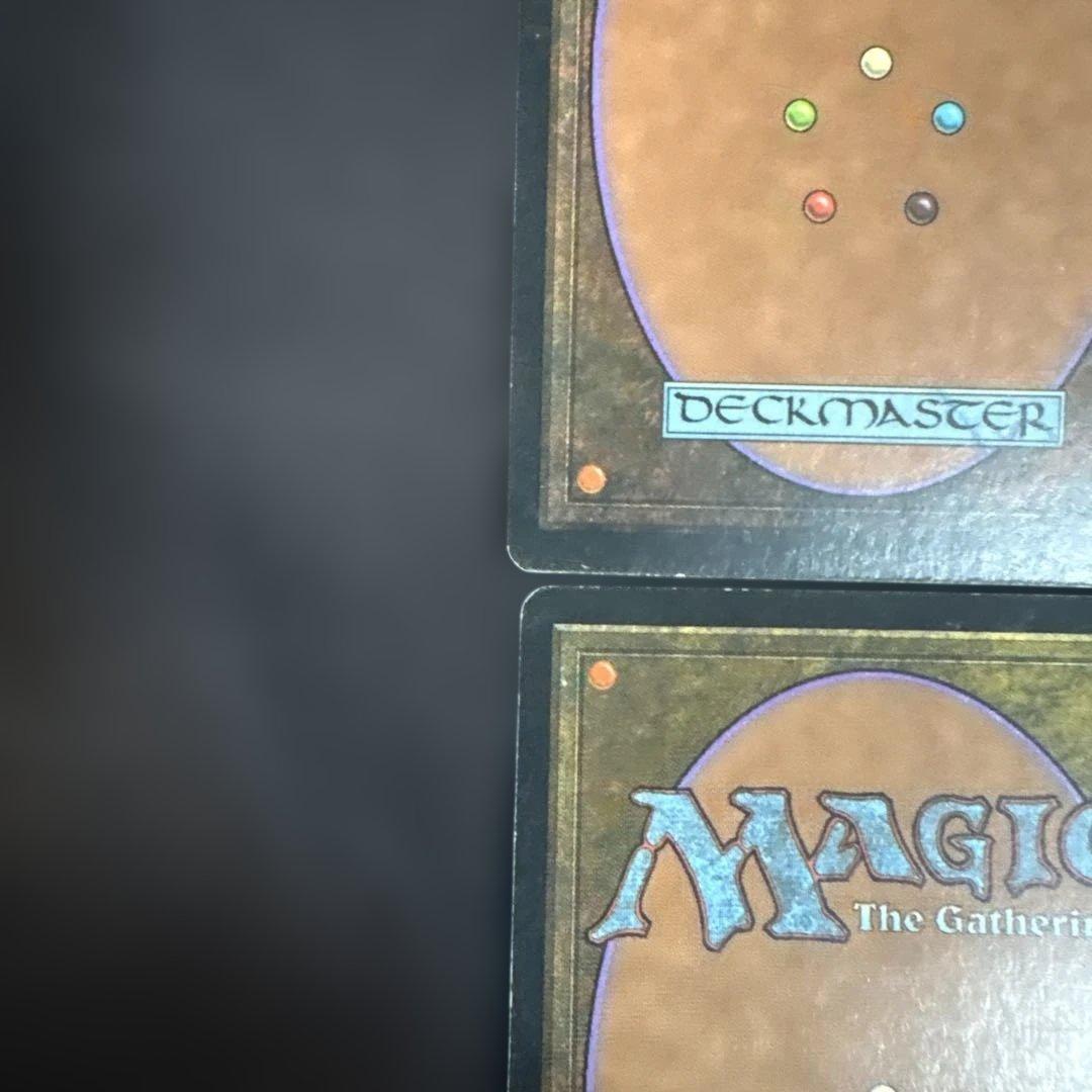 MTG 肉占い 日本語版4枚セット