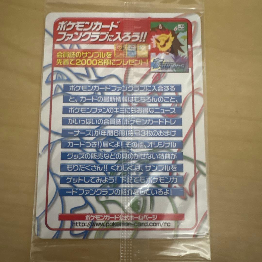 未開封　ピチュー兄弟 PROMO P - eプロモカード 028/P