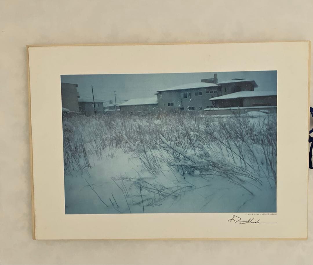 押印　池田大作写真集　平和と文化の光　創価学会名誉会長　vol 1〜5 非売品