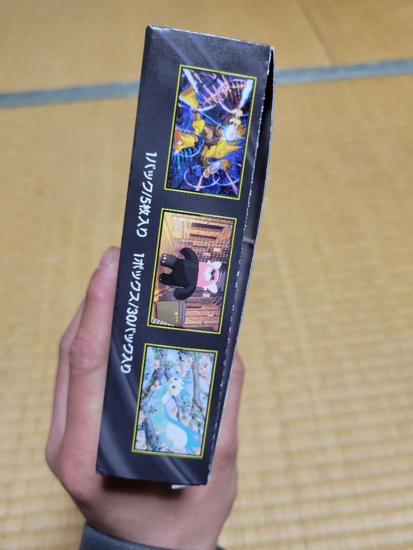 ポケモンカードゲーム メガシンカニア
