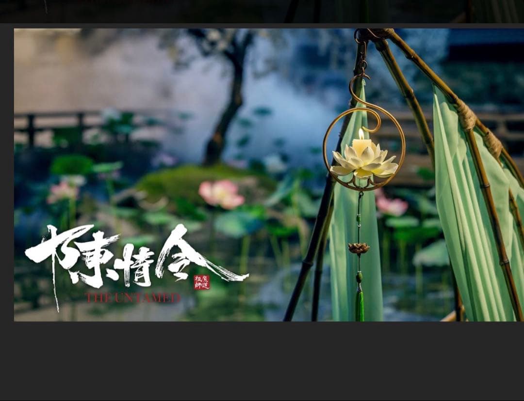 陳情令　公式商品　3周年限定　師姉　蓮花灯　レプリカ