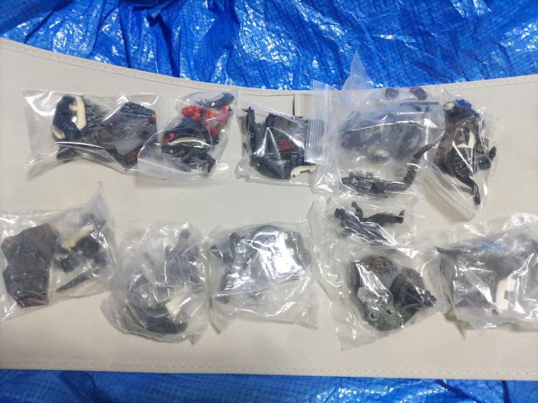 ゴジラ 名鑑　管理2