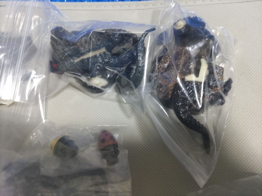 ゴジラ 名鑑　管理2