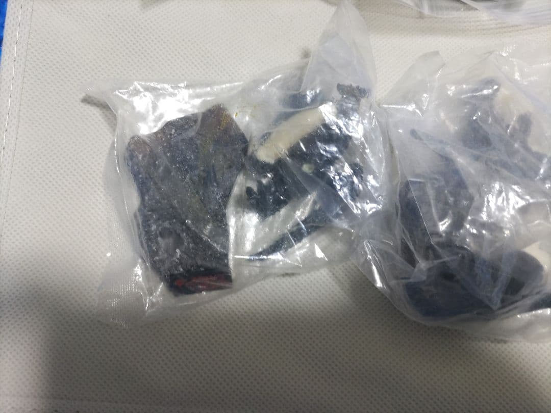 ゴジラ 名鑑　管理2