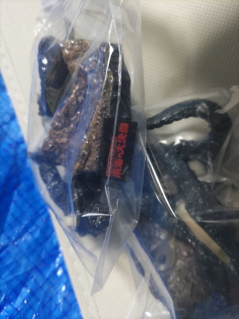 ゴジラ 名鑑　管理2