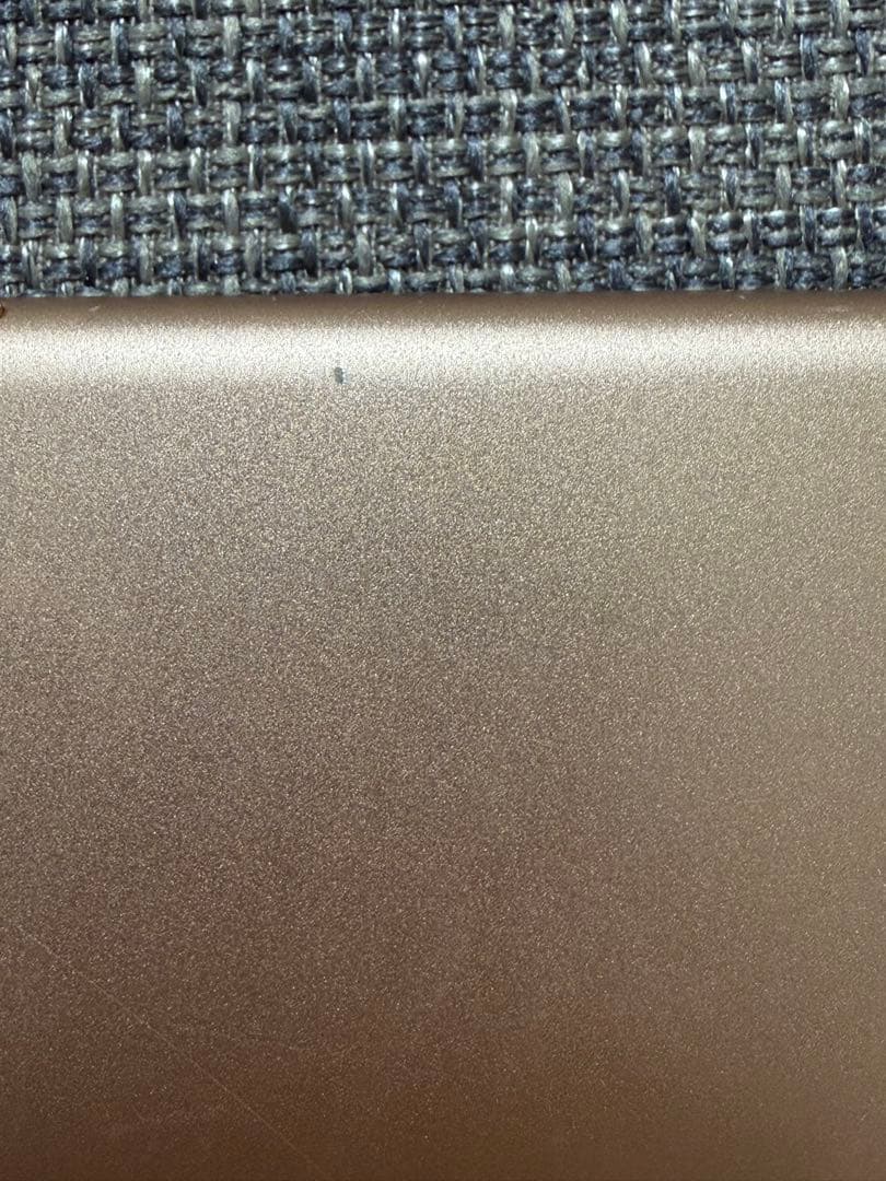 Apple iPad mini (第5世代) 64GB ピンクゴールド