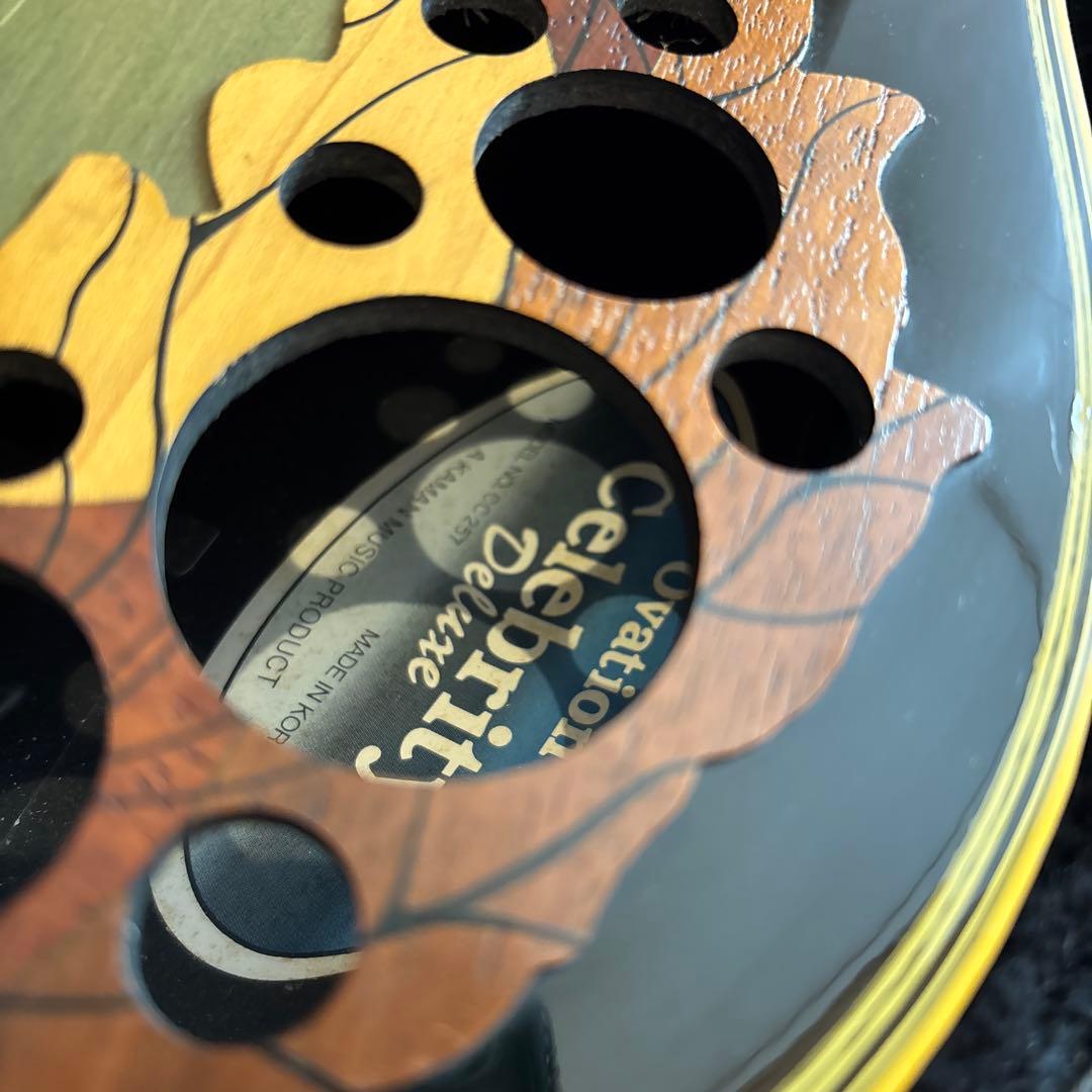 Ovation Celebrity Delaxe CC257 エレアコ