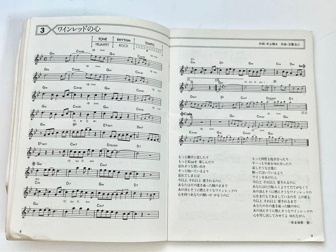 CASIO PT-80　外箱／ROMパック2個／別売りアダプター付　動作確認済