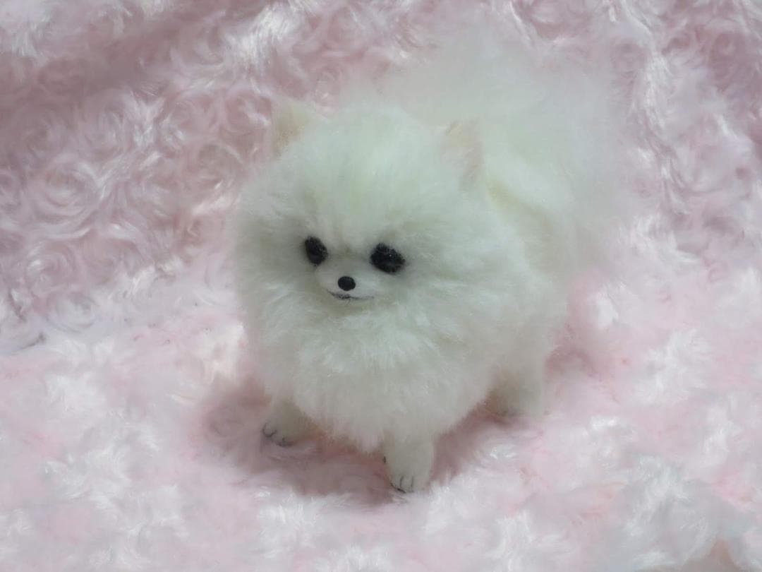 羊毛フェルト 犬 ポメラニアン 白 ホワイト ハンドメイド 置物
