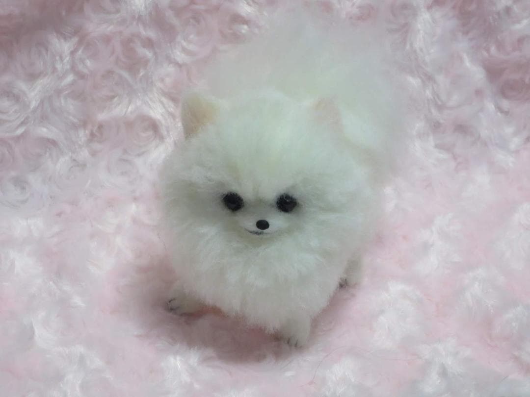 羊毛フェルト 犬 ポメラニアン 白 ホワイト ハンドメイド 置物
