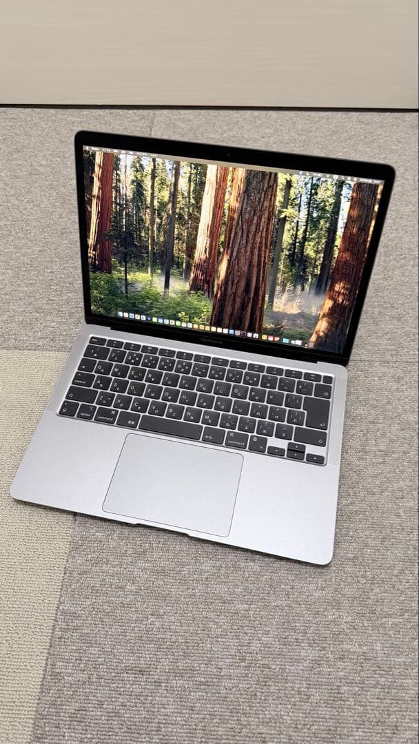 MacBook本体 Apple MacBook Air (M1, 16GB,512GB)