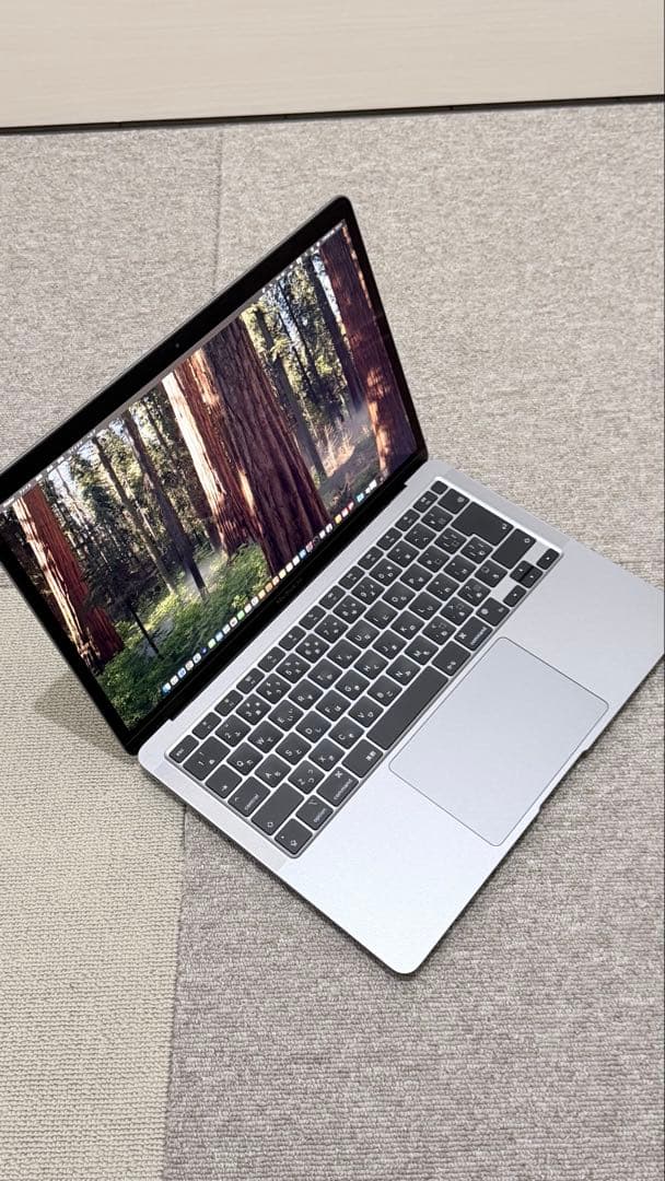 MacBook本体 Apple MacBook Air (M1, 16GB,512GB)