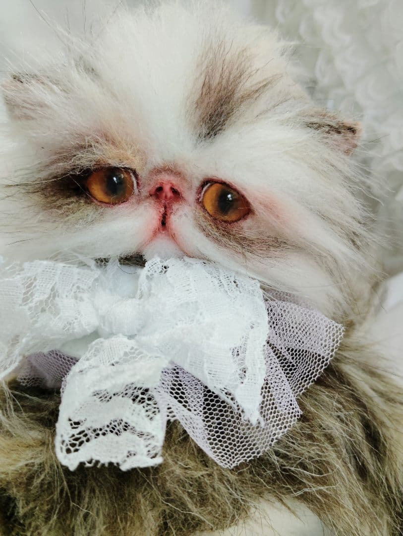 生後１か月♡可愛い毛の子猫ちゃん♡アートドール♡ぬいぐるみ♡