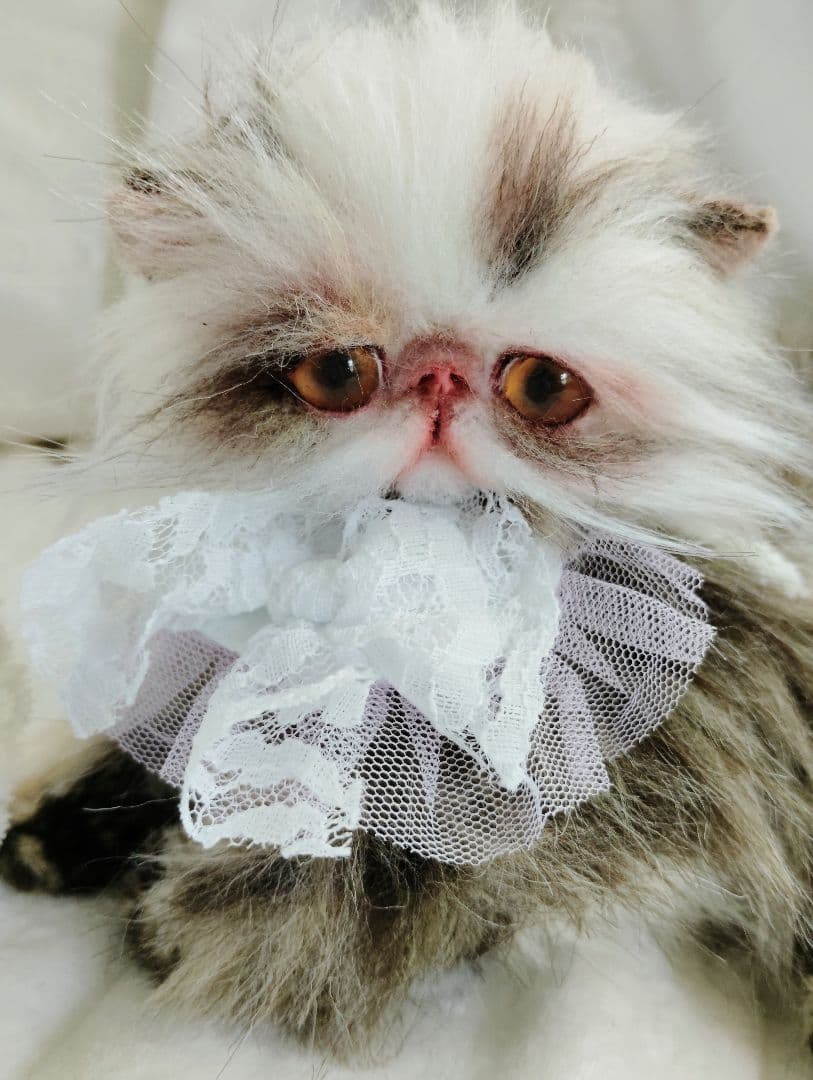 生後１か月♡可愛い毛の子猫ちゃん♡アートドール♡ぬいぐるみ♡