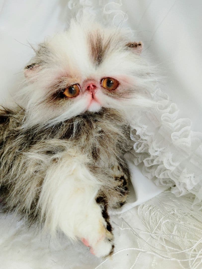 生後１か月♡可愛い毛の子猫ちゃん♡アートドール♡ぬいぐるみ♡