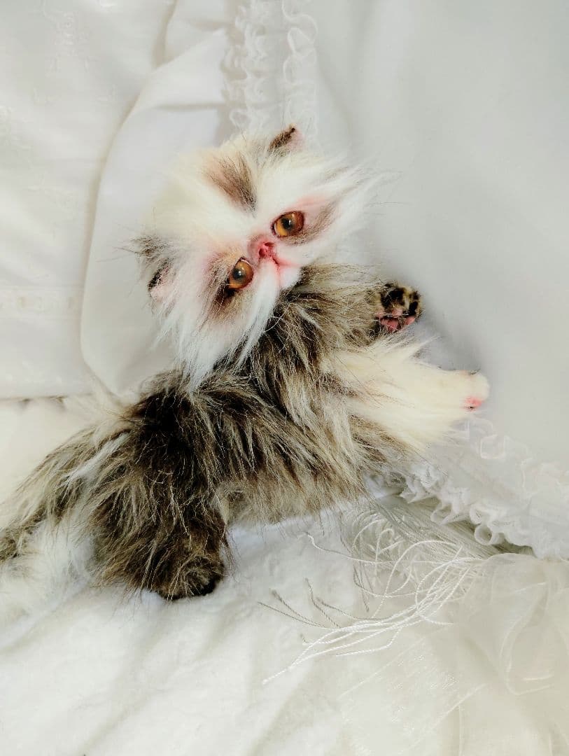 生後１か月♡可愛い毛の子猫ちゃん♡アートドール♡ぬいぐるみ♡